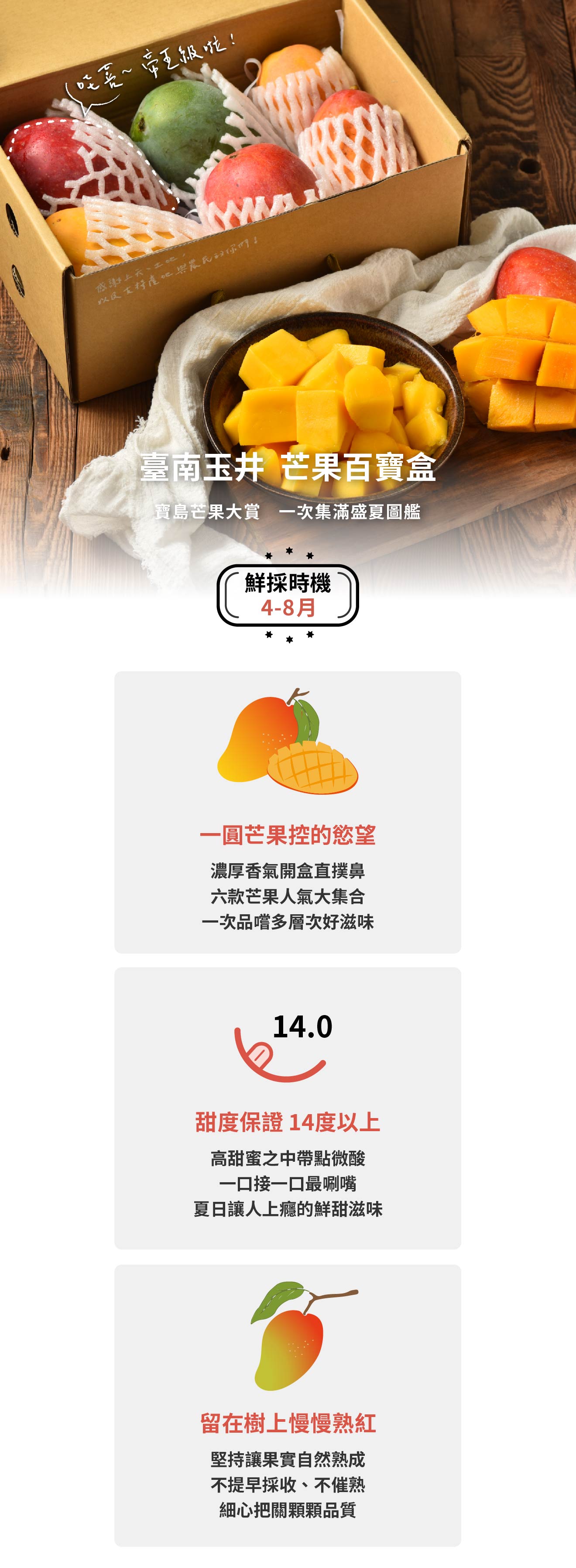 臺南玉井芒果珠寶盒