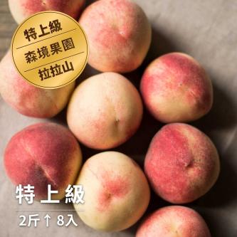 【特上級】拉拉山晚熟水蜜桃