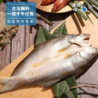 一夜干午仔魚(原味、馬告)_220g