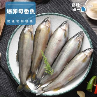 爆卵母香魚(5尾)_450g