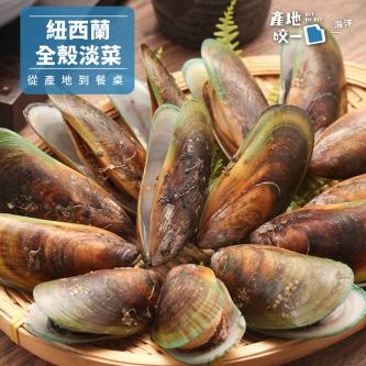 紐西蘭全殼淡菜_500g